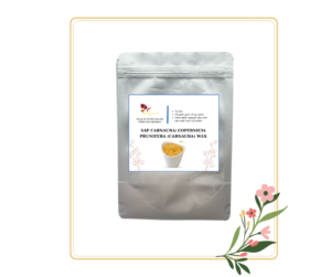SÁP CARNAUBA/ COPERNICIA PRUNIFERA (CARNAUBA) WAX