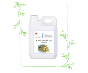 CHIẾT XUẤT RỄ CÂY TRI MẪU