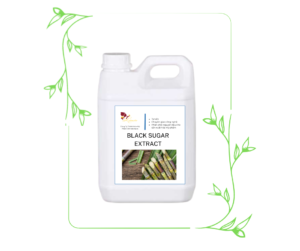 BLACK SUGAR EXTRACT