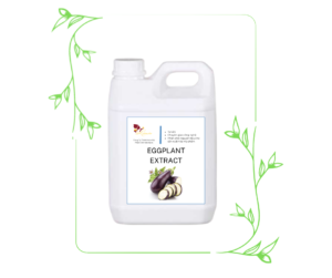 CHIẾT XUẤT QUẢ CÀ TÍM