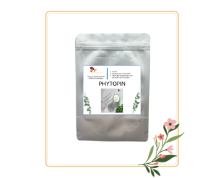 CHIẾT XUẤT GỖ THÔNG ĐỎ