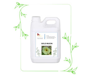 Chiết xuất hoa thu quỳ (hoa thục quỳ vàng)