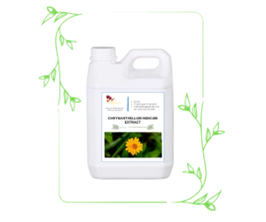 Chrysanthellum Indicum Extract