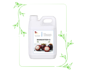 Mangosteen B
