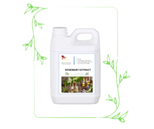 CHIẾT XUẤT HƯƠNG THẢO