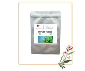 Công nghệ vi kim Spicule Vessel