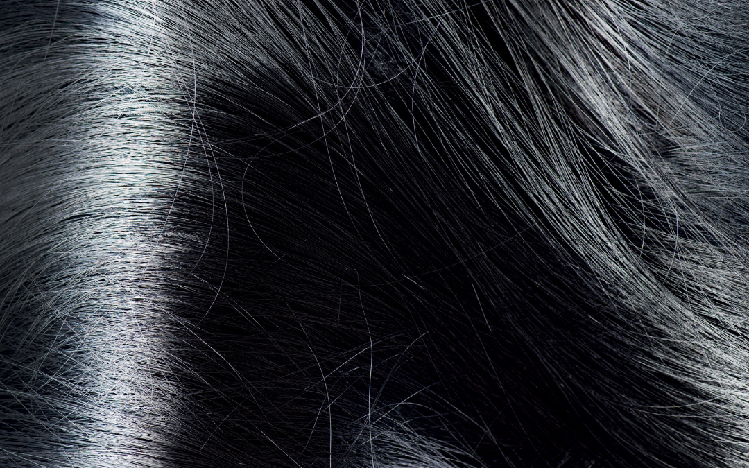 Black Hair Shampoo