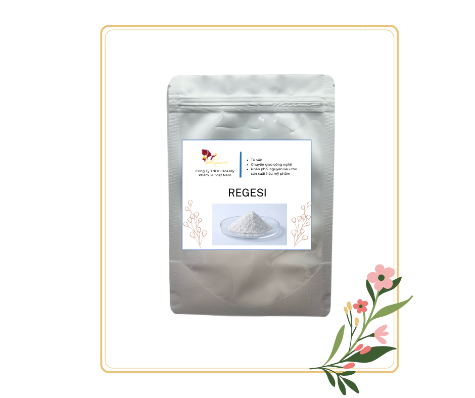 Regesi